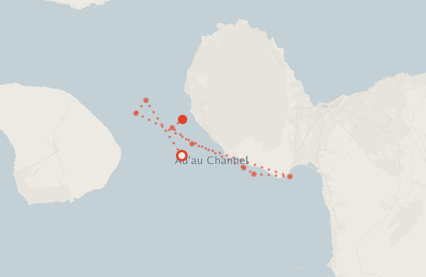 Activity map — real sighting points on an OpenStreetMap basemap