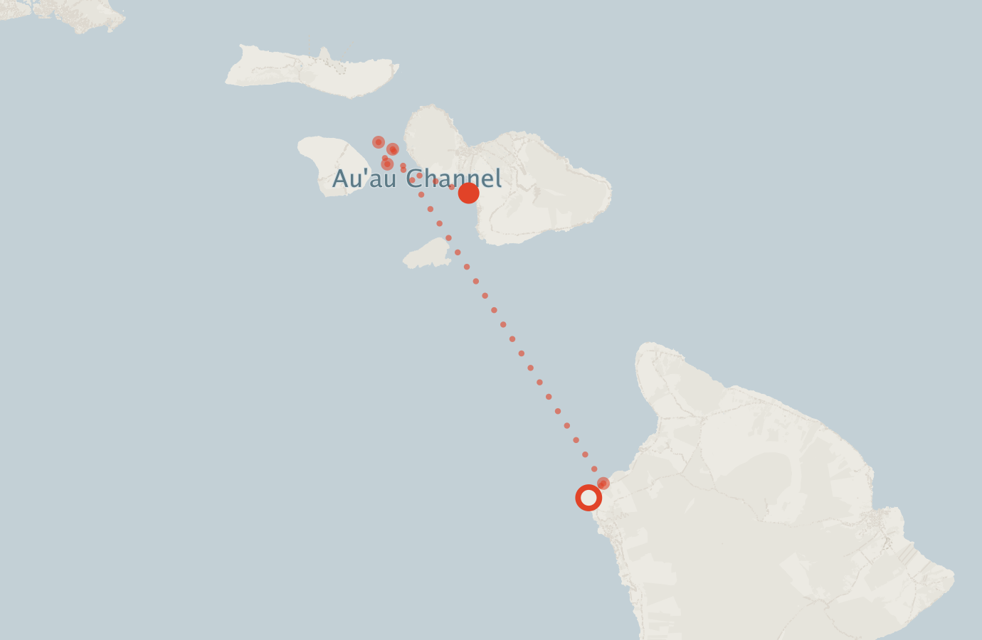 Activity map — real sighting points on an OpenStreetMap basemap