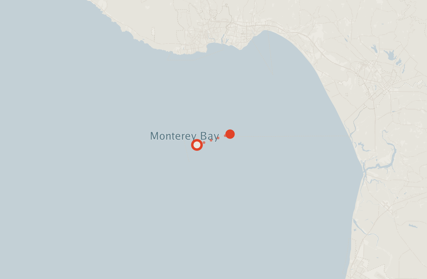 Activity map — real sighting points on an OpenStreetMap basemap