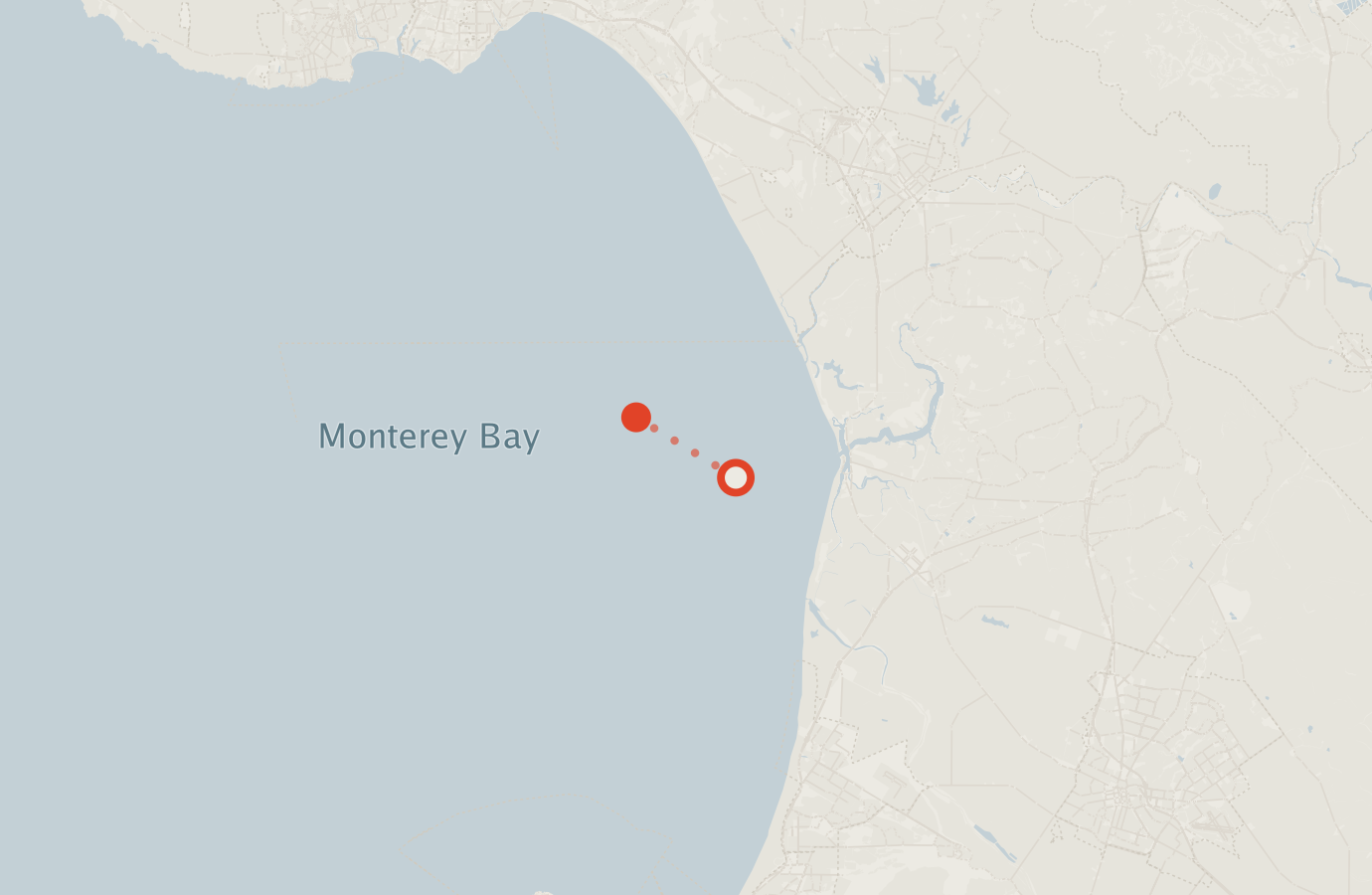 Activity map — real sighting points on an OpenStreetMap basemap