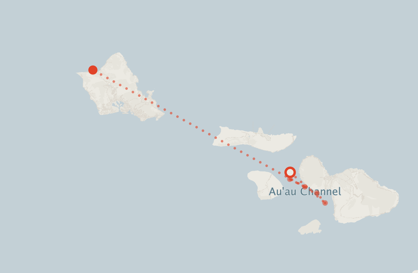 Activity map — real sighting points on an OpenStreetMap basemap