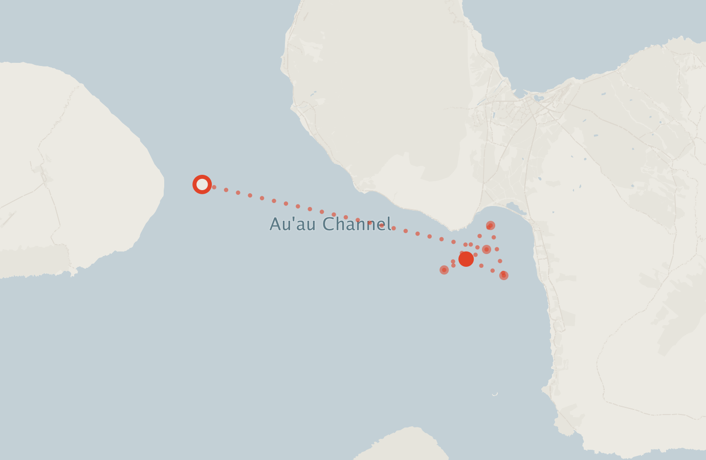 Activity map — real sighting points on an OpenStreetMap basemap