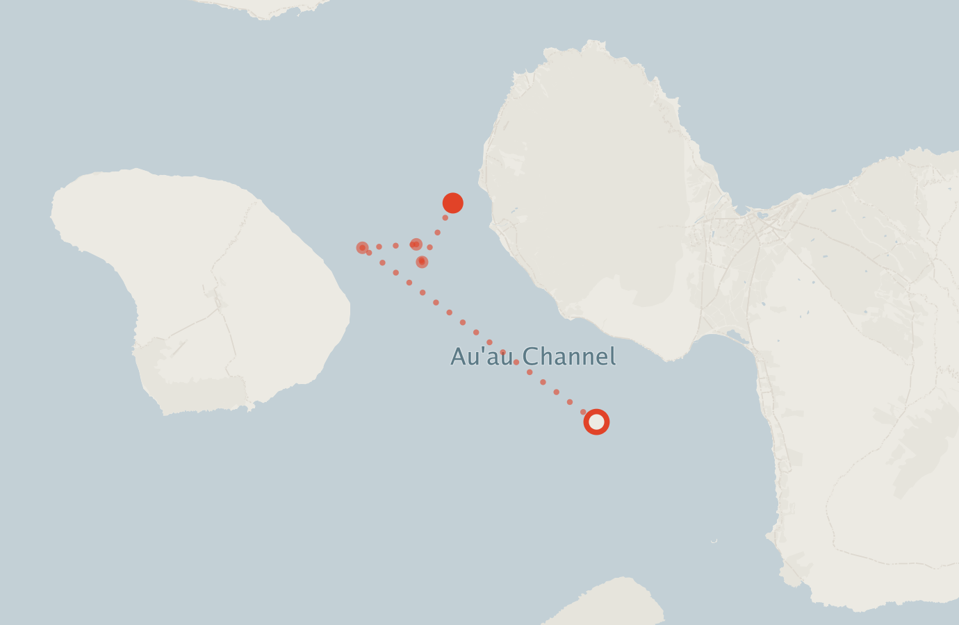 Activity map — real sighting points on an OpenStreetMap basemap