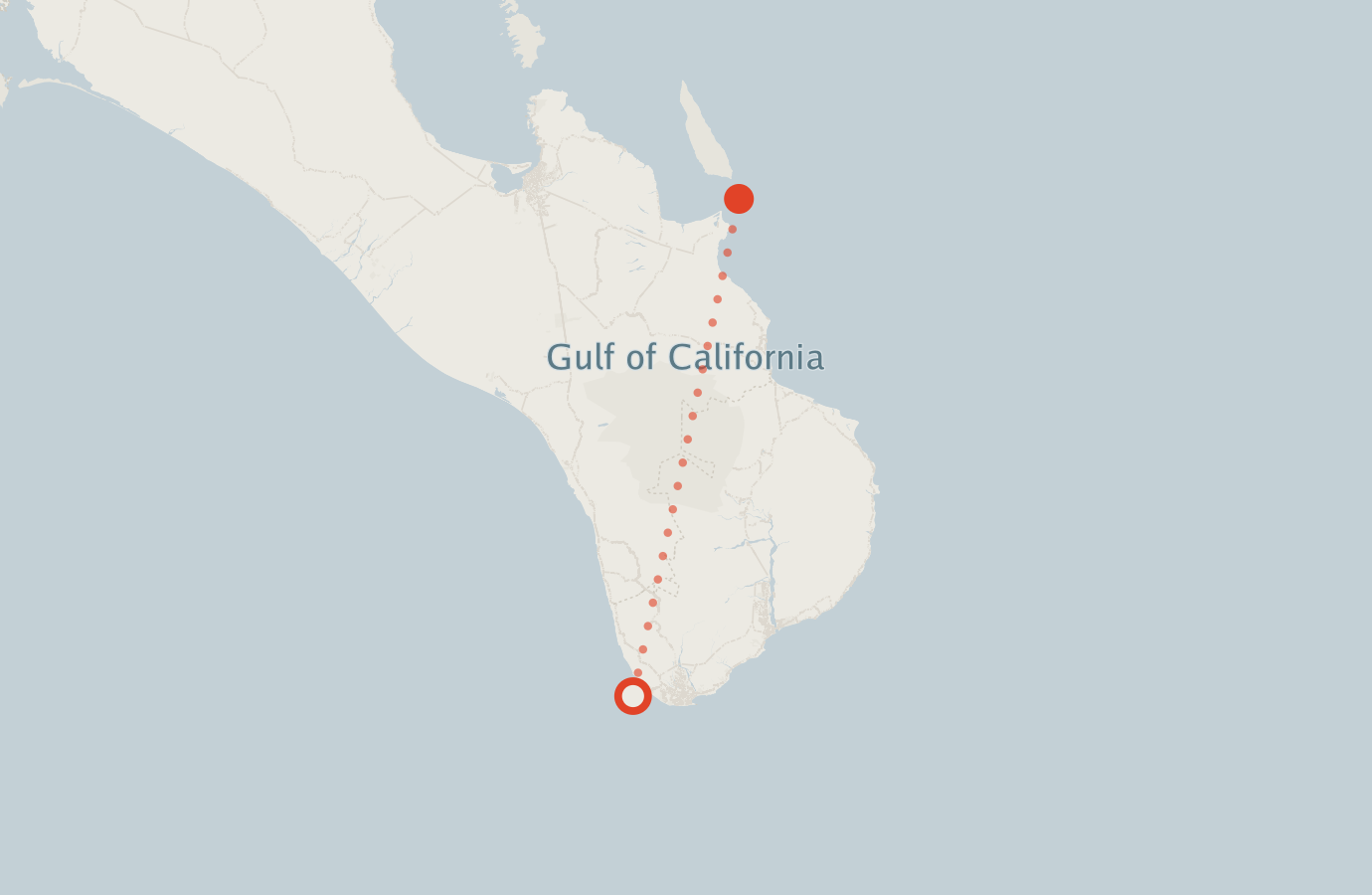 Activity map — real sighting points on an OpenStreetMap basemap