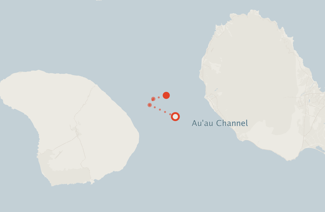 Activity map — real sighting points on an OpenStreetMap basemap