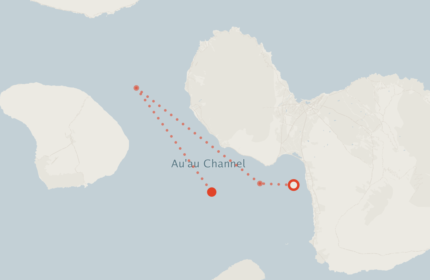 Activity map — real sighting points on an OpenStreetMap basemap