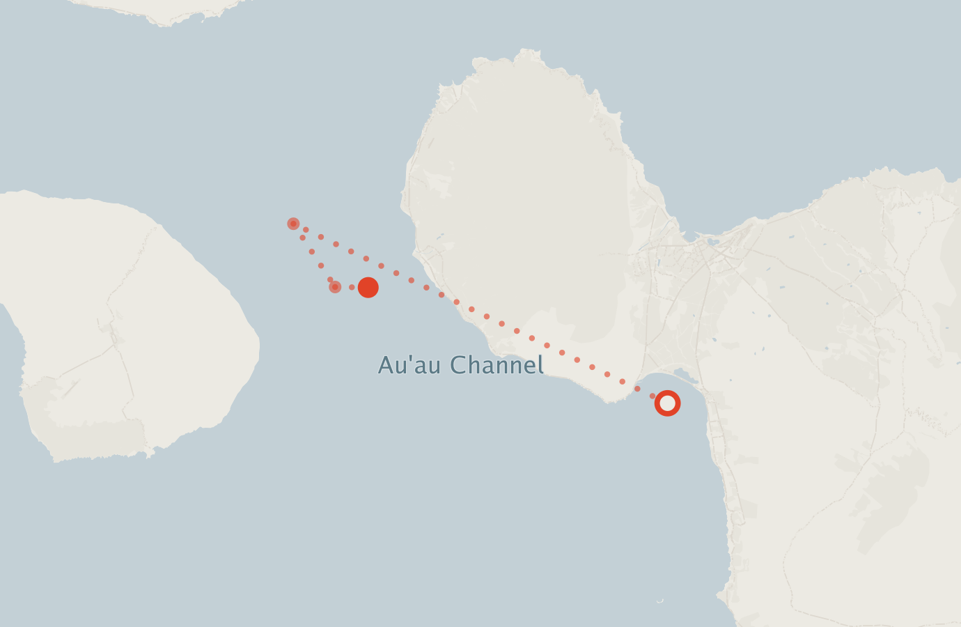 Activity map — real sighting points on an OpenStreetMap basemap