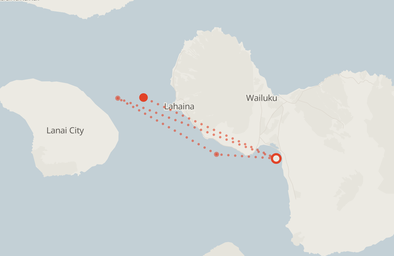 Activity map — real sighting points on an OpenStreetMap basemap