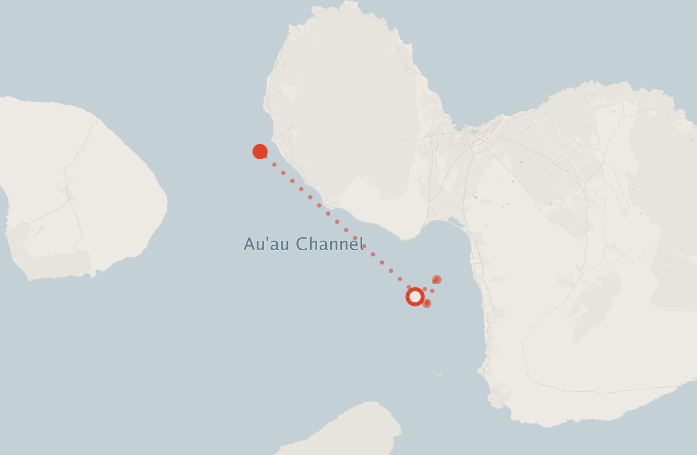 Activity map — real sighting points on an OpenStreetMap basemap