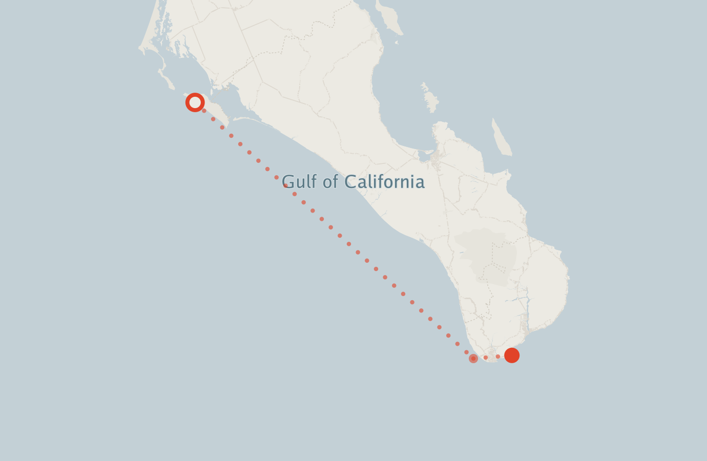 Activity map — real sighting points on an OpenStreetMap basemap