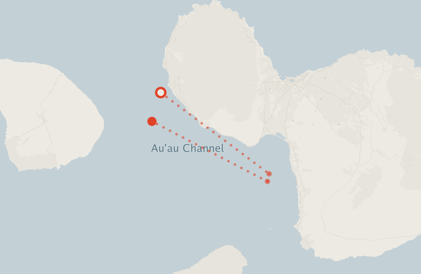 Activity map — real sighting points on an OpenStreetMap basemap