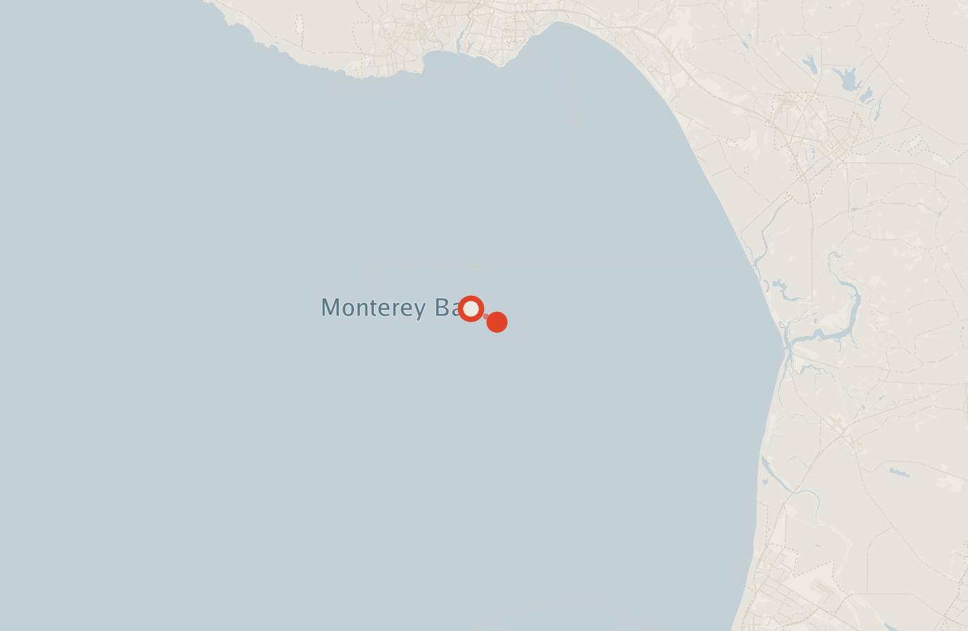 Activity map — real sighting points on an OpenStreetMap basemap