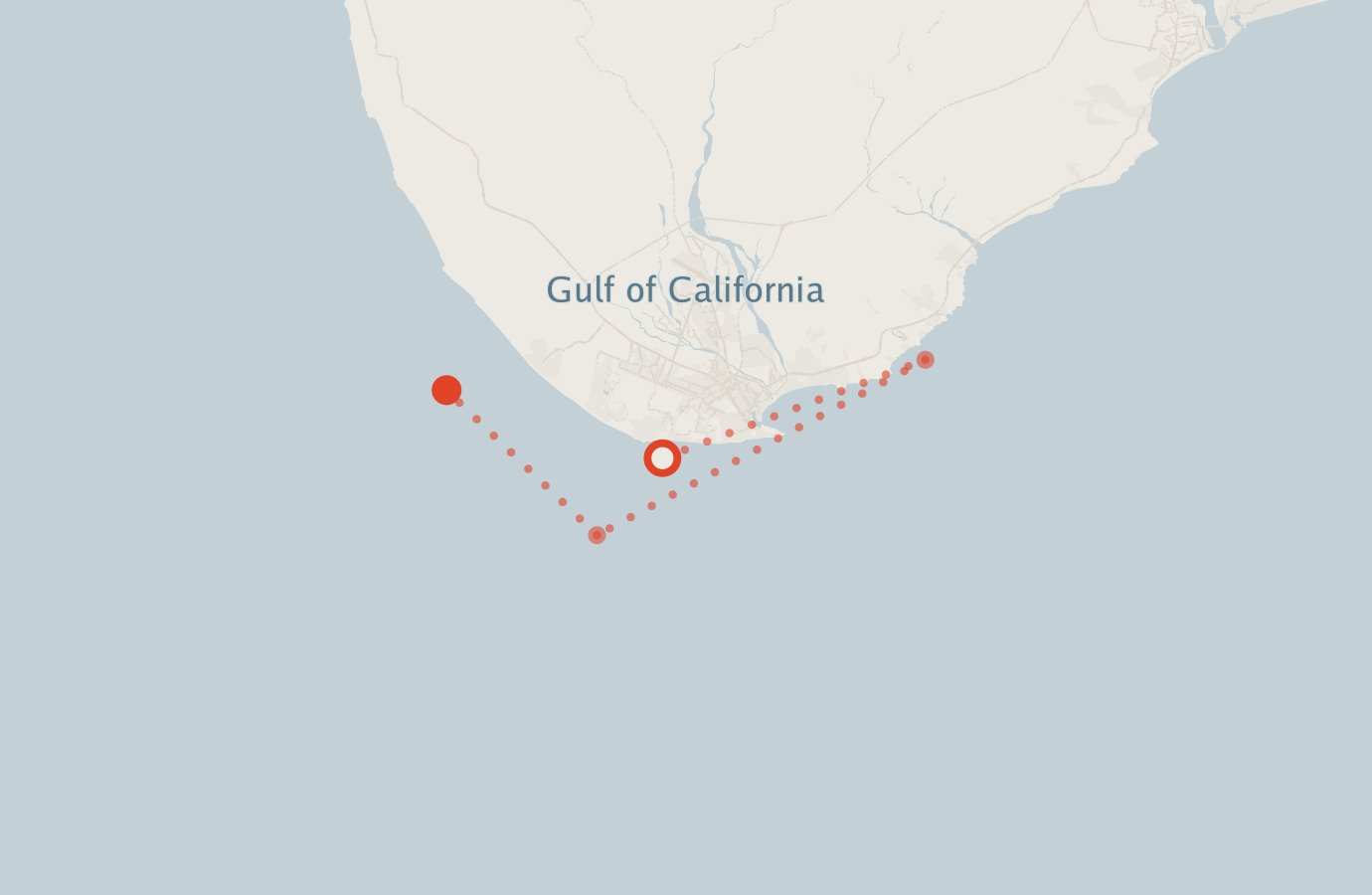 Activity map — real sighting points on an OpenStreetMap basemap