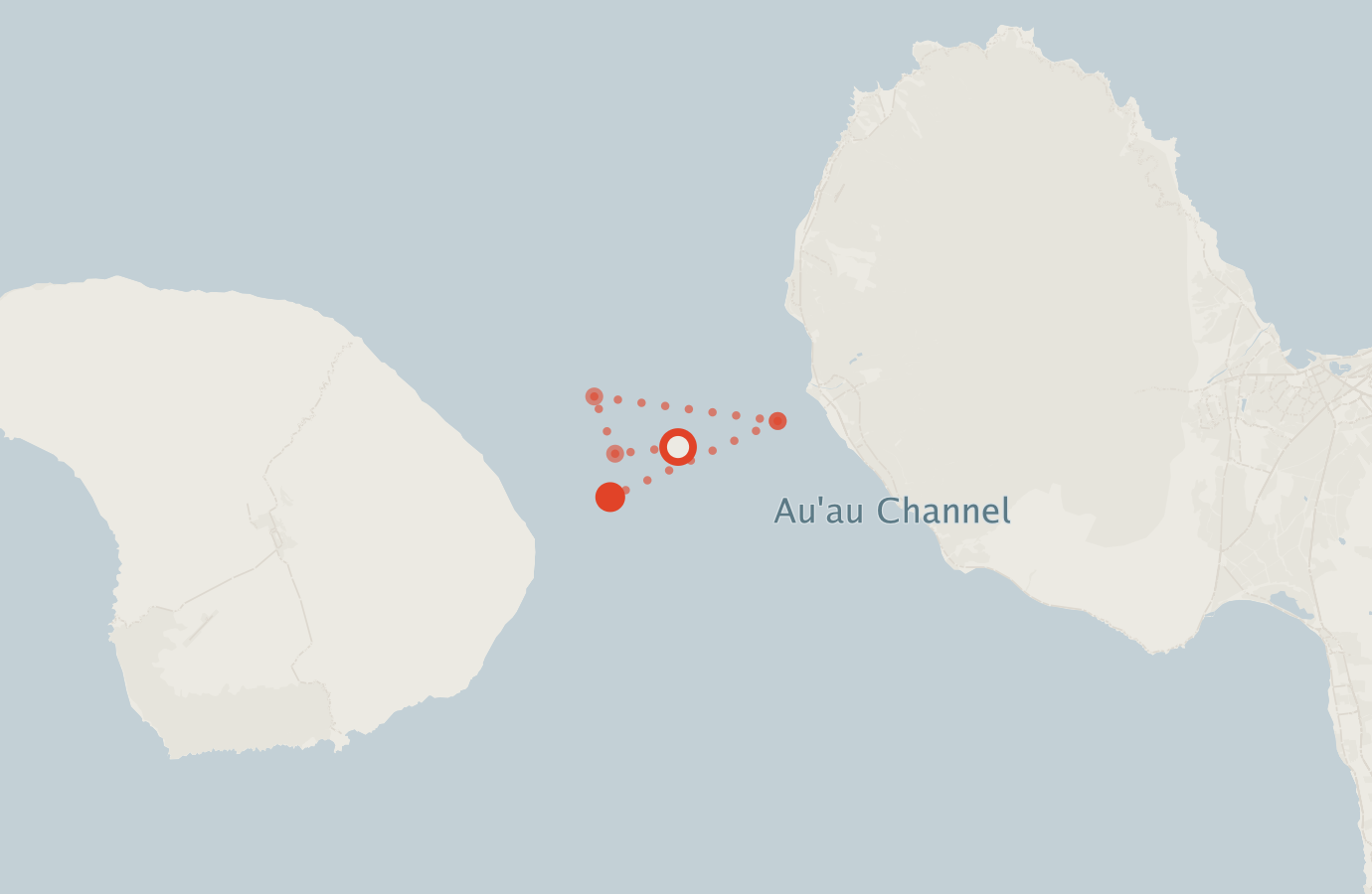 Activity map — real sighting points on an OpenStreetMap basemap