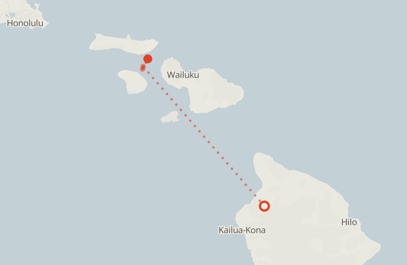 Activity map — real sighting points on an OpenStreetMap basemap