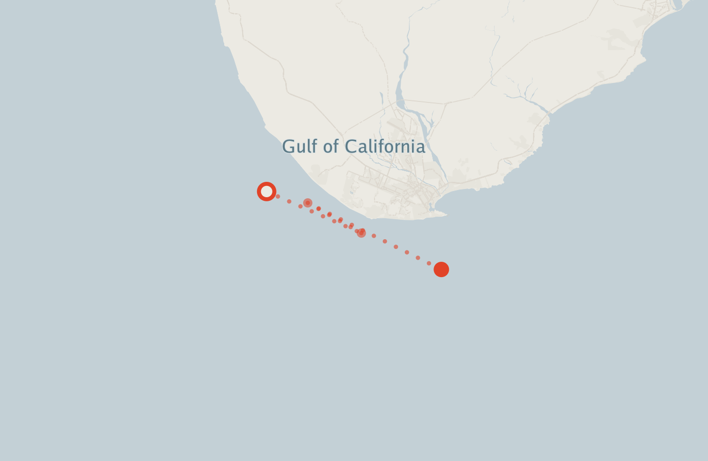 Activity map — real sighting points on an OpenStreetMap basemap