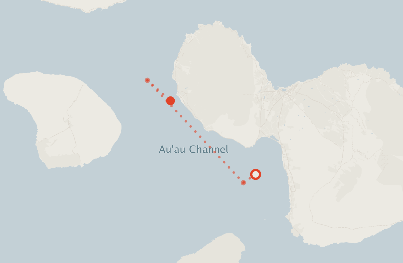 Activity map — real sighting points on an OpenStreetMap basemap