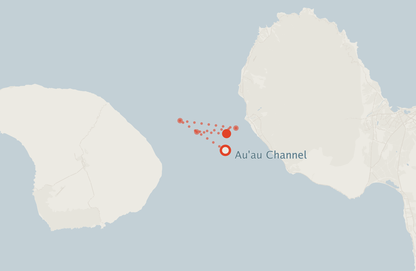 Activity map — real sighting points on an OpenStreetMap basemap