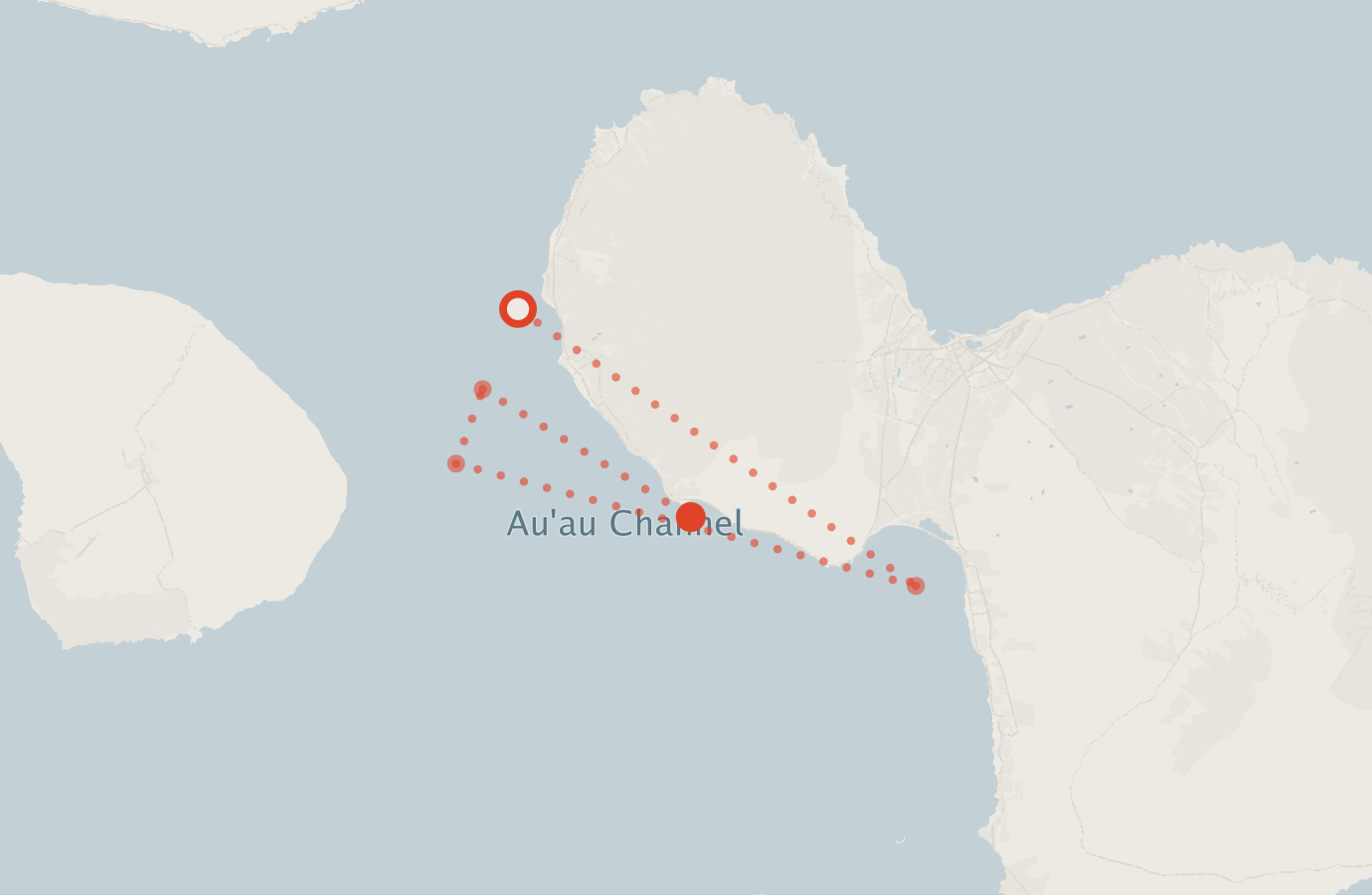 Activity map — real sighting points on an OpenStreetMap basemap