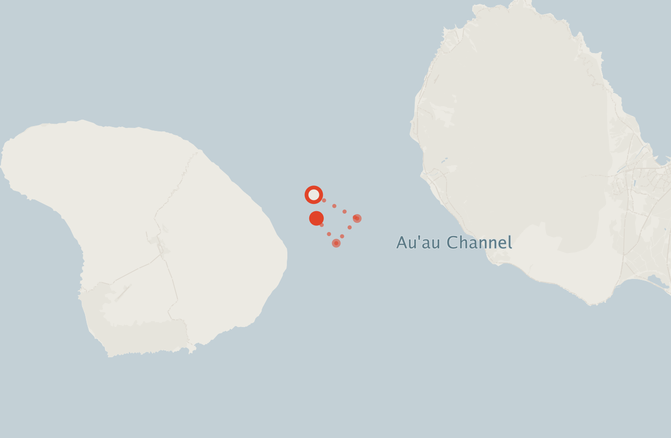 Activity map — real sighting points on an OpenStreetMap basemap
