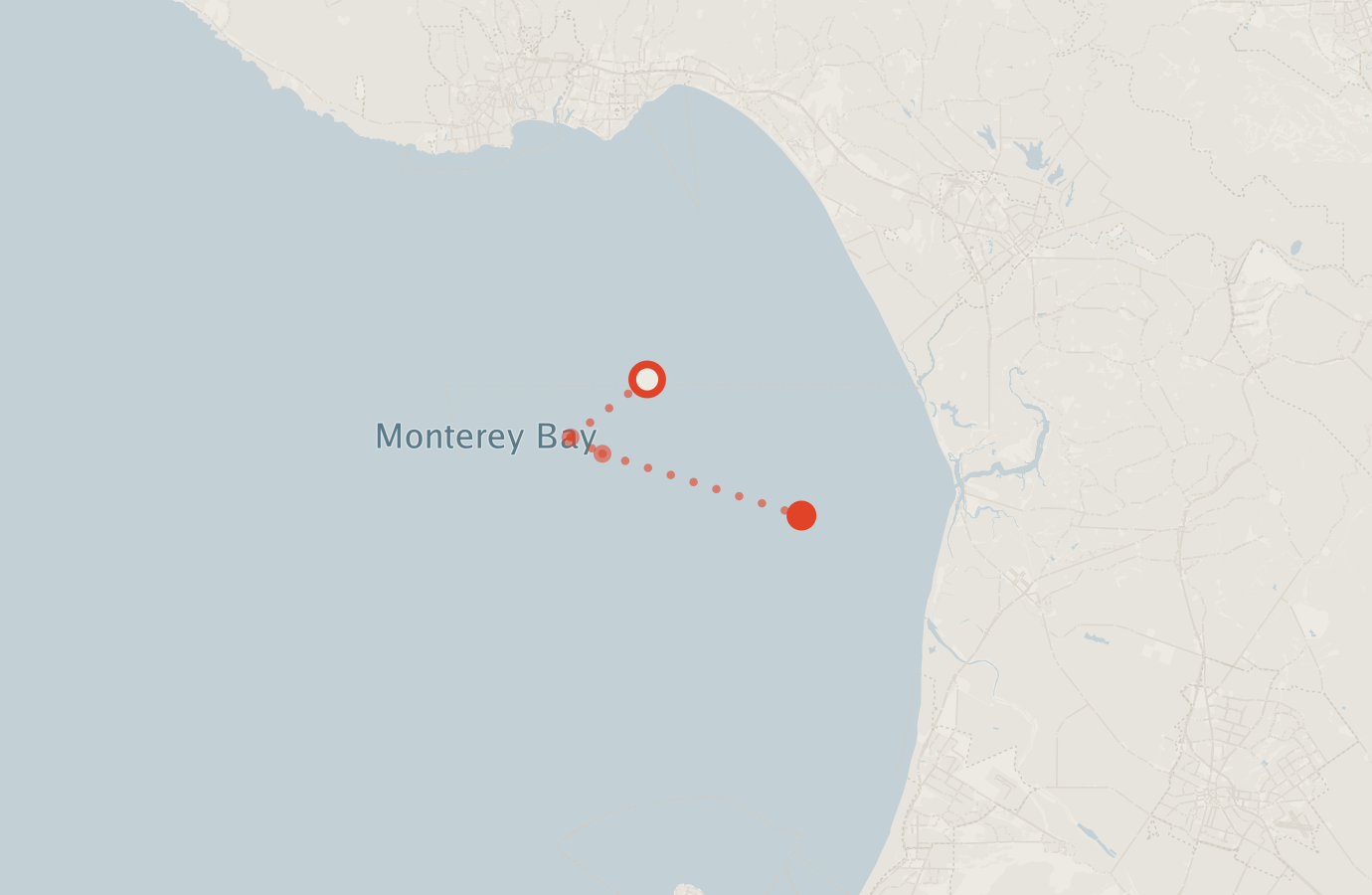 Activity map — real sighting points on an OpenStreetMap basemap