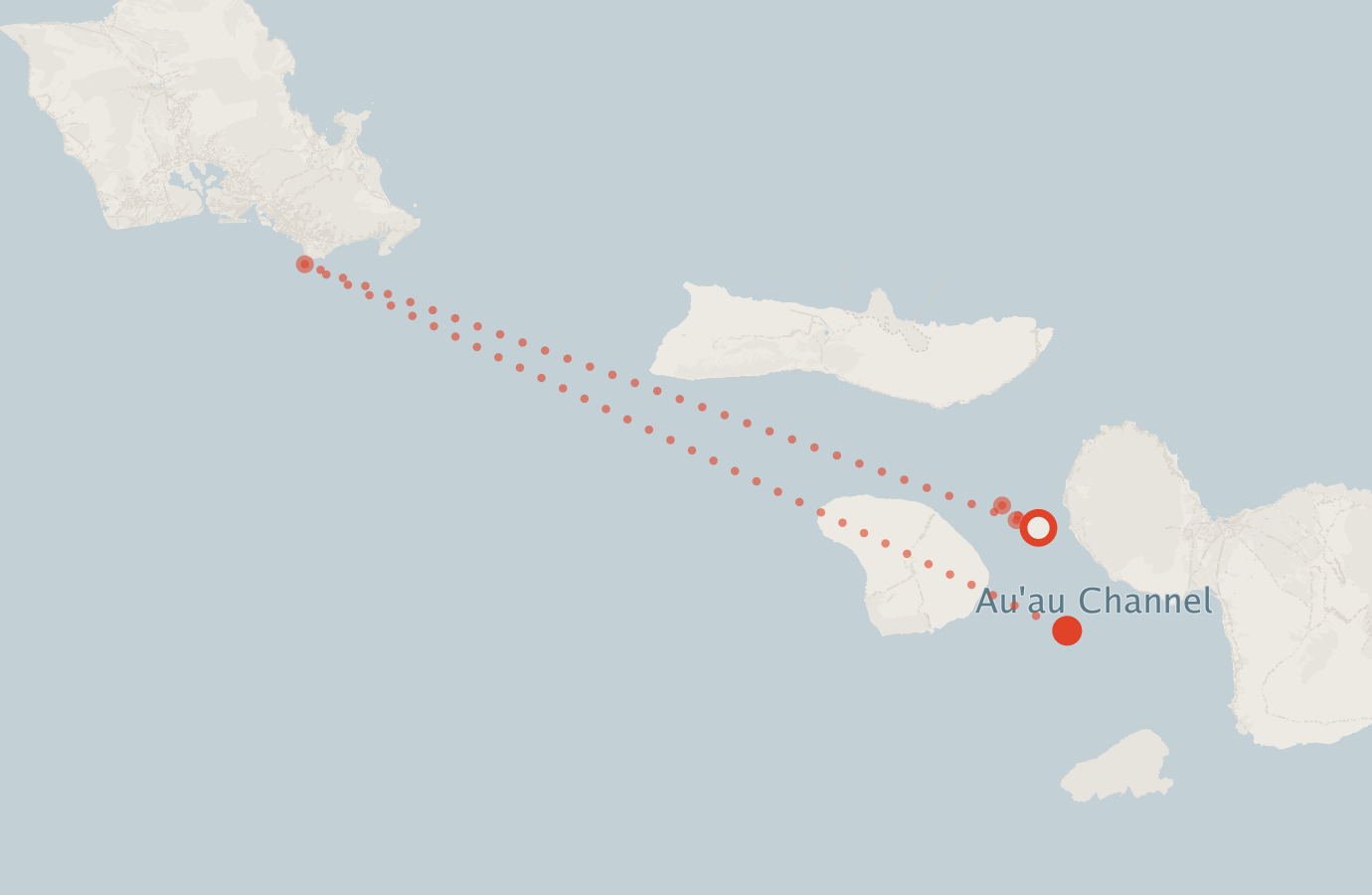 Activity map — real sighting points on an OpenStreetMap basemap