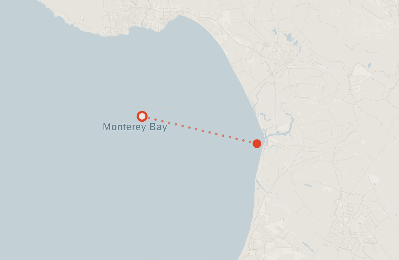 Activity map — real sighting points on an OpenStreetMap basemap