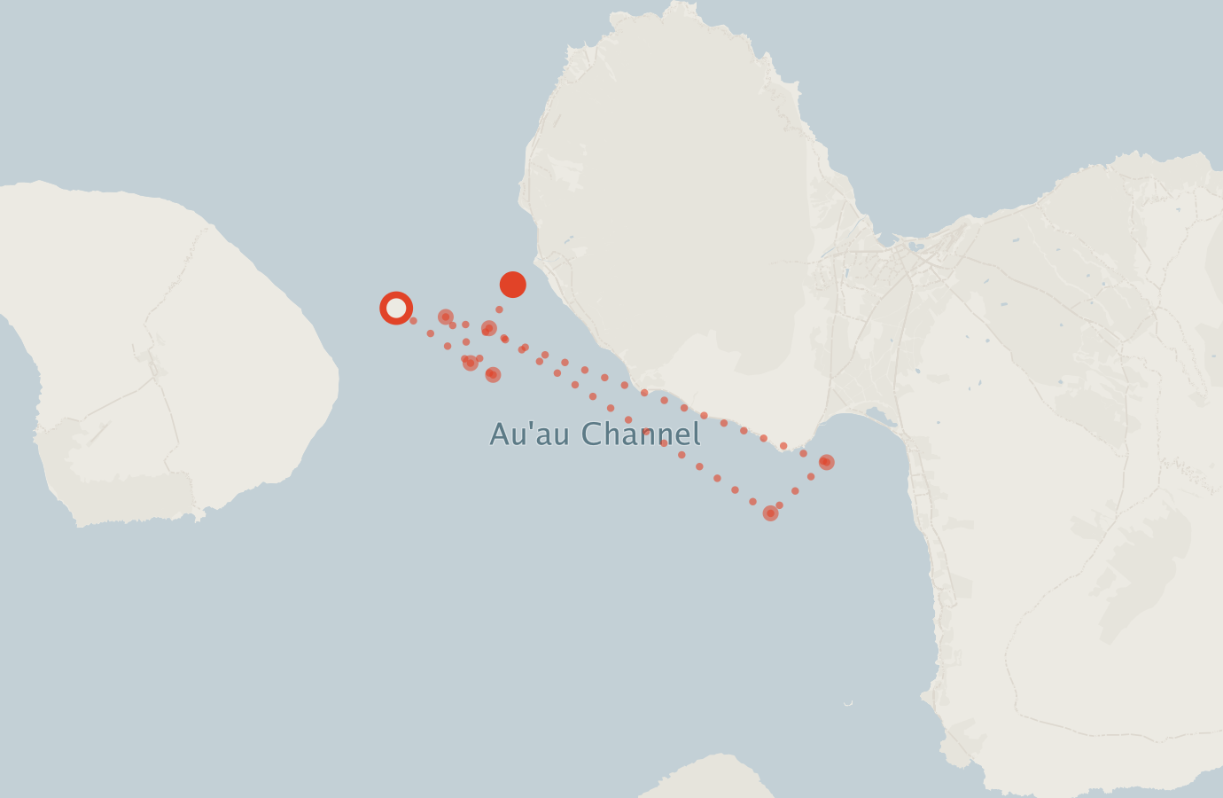 Activity map — real sighting points on an OpenStreetMap basemap