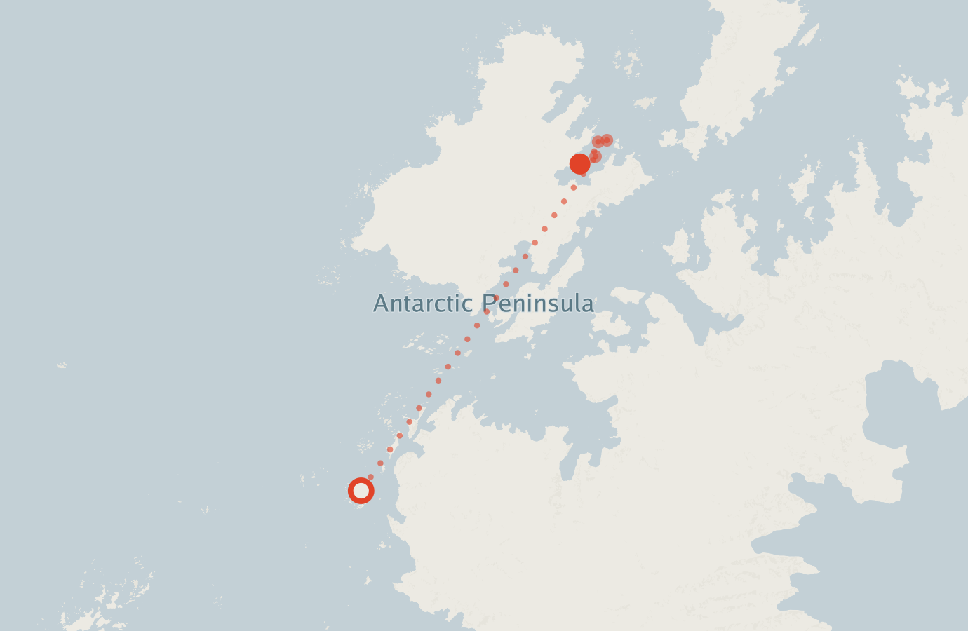 Activity map — real sighting points on an OpenStreetMap basemap