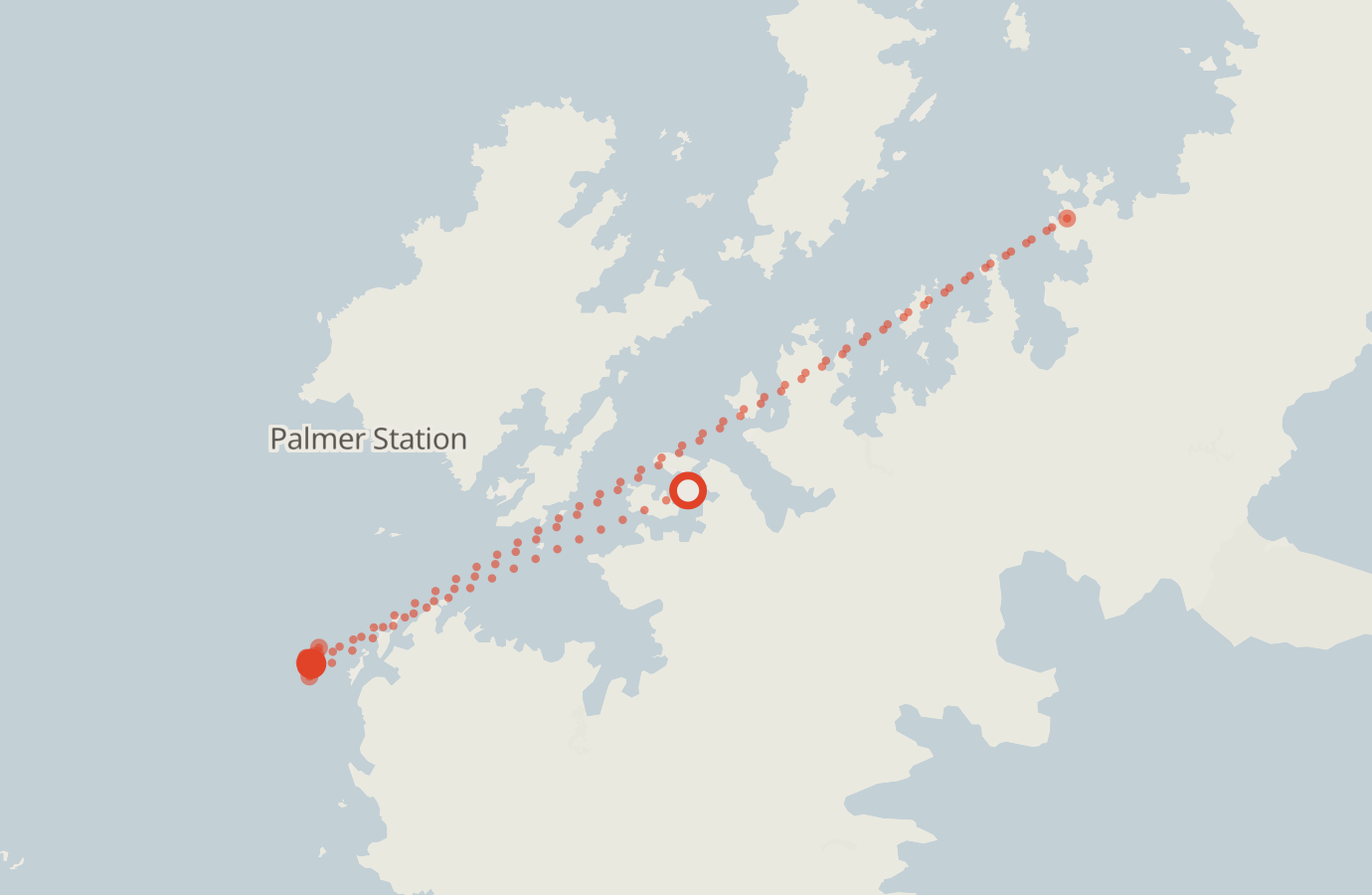 Activity map — real sighting points on an OpenStreetMap basemap