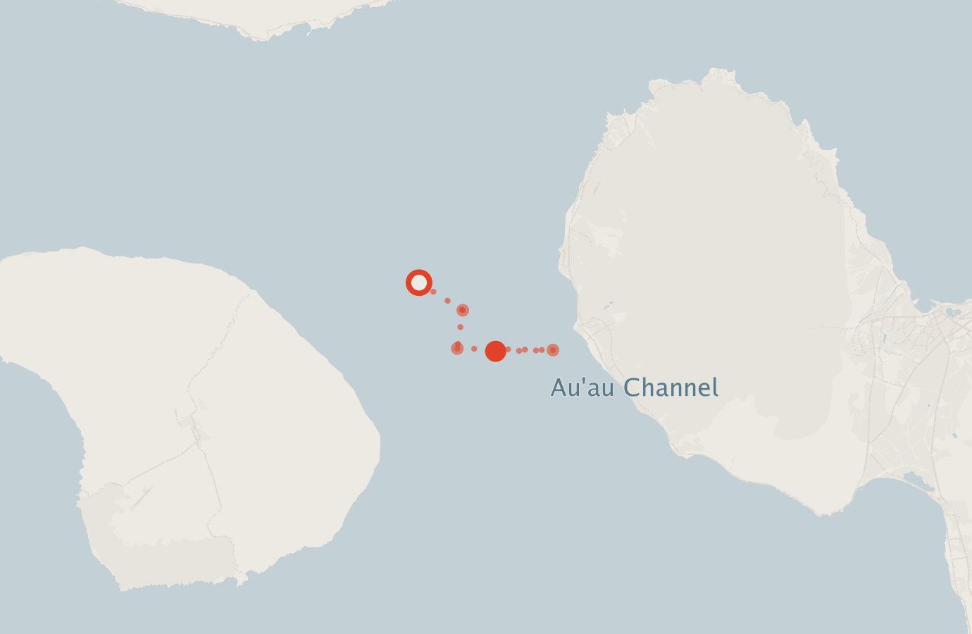 Activity map — real sighting points on an OpenStreetMap basemap