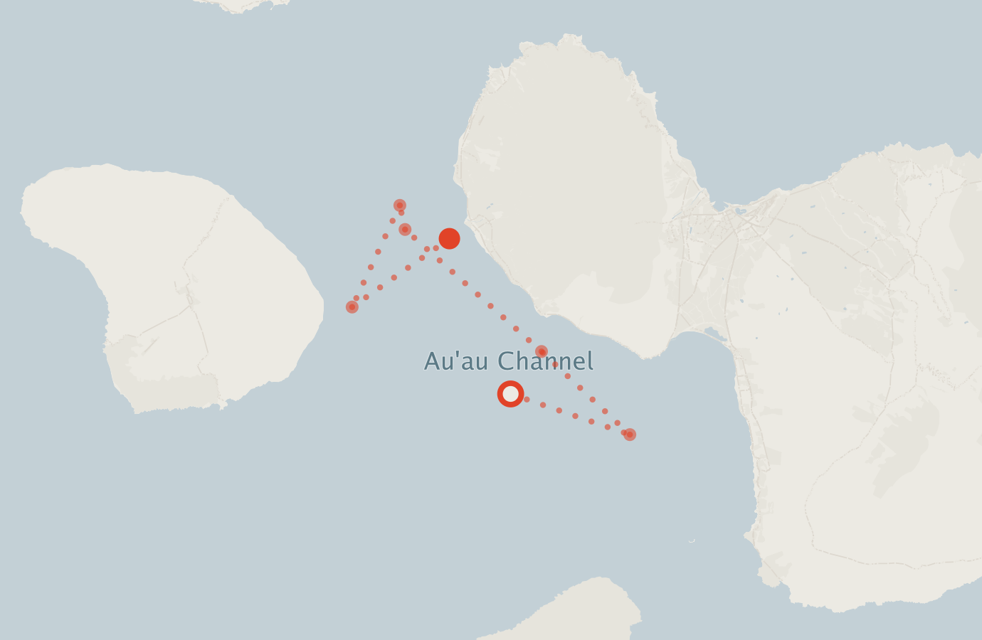 Activity map — real sighting points on an OpenStreetMap basemap