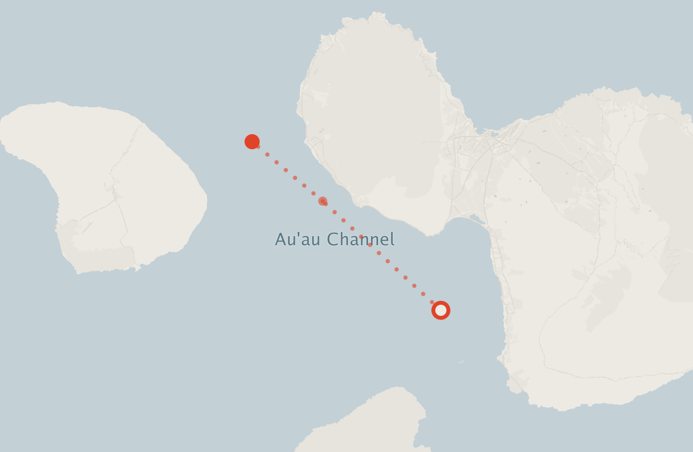 Activity map — real sighting points on an OpenStreetMap basemap