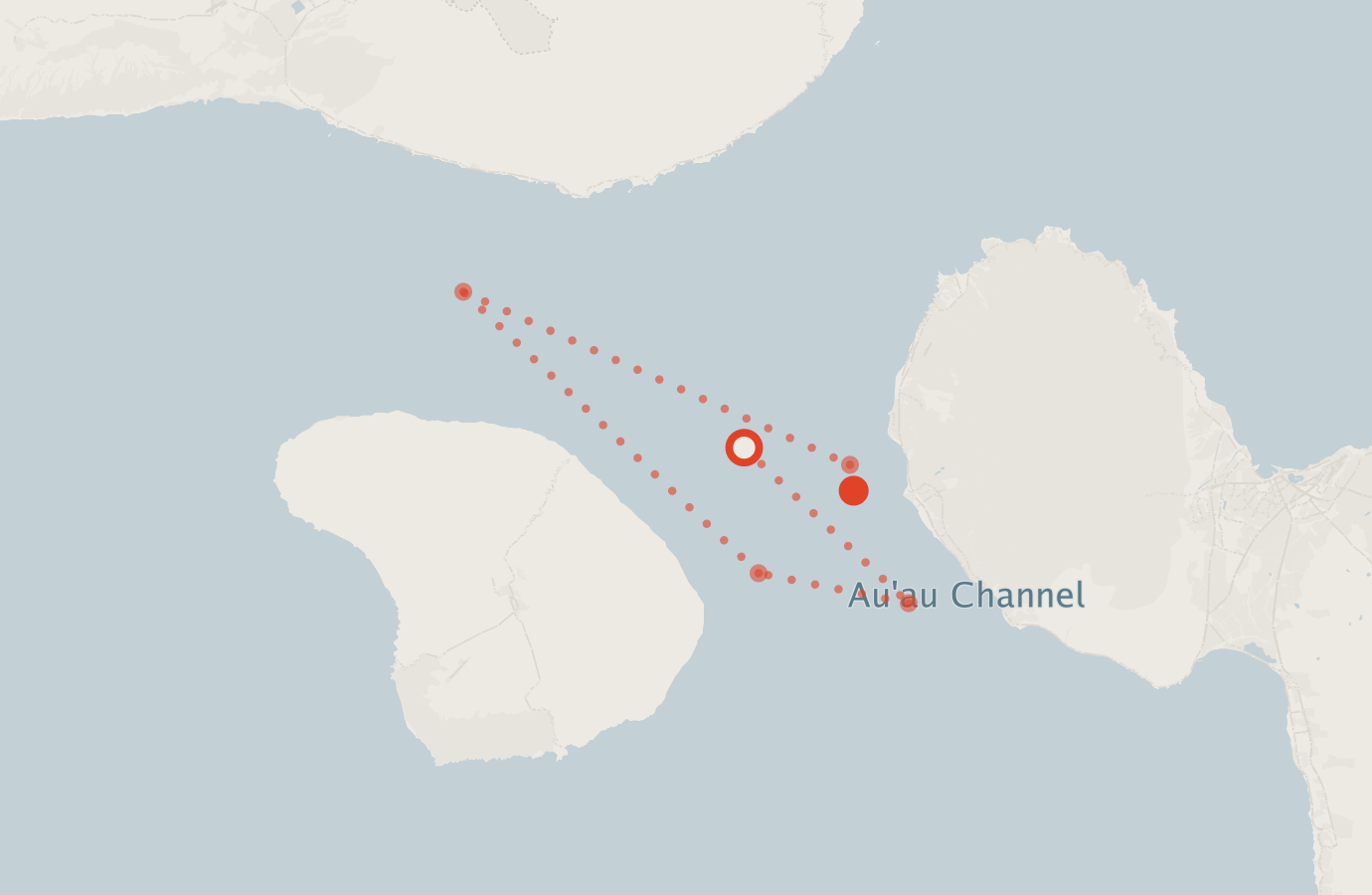 Activity map — real sighting points on an OpenStreetMap basemap