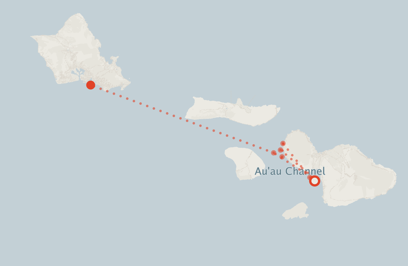 Activity map — real sighting points on an OpenStreetMap basemap