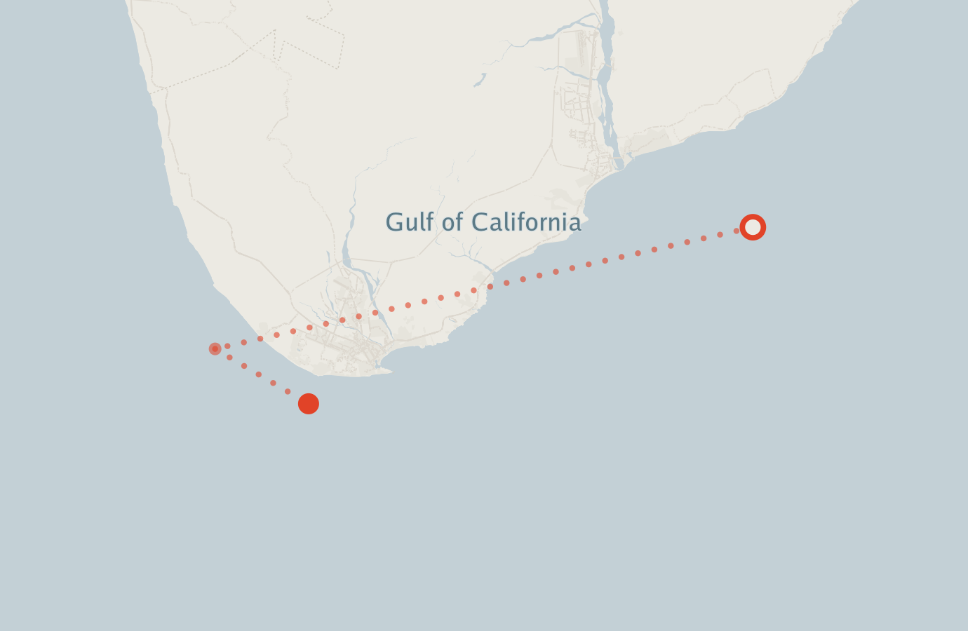 Activity map — real sighting points on an OpenStreetMap basemap