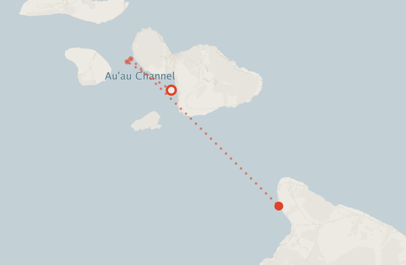 Activity map — real sighting points on an OpenStreetMap basemap