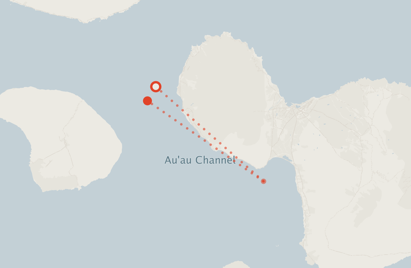 Activity map — real sighting points on an OpenStreetMap basemap