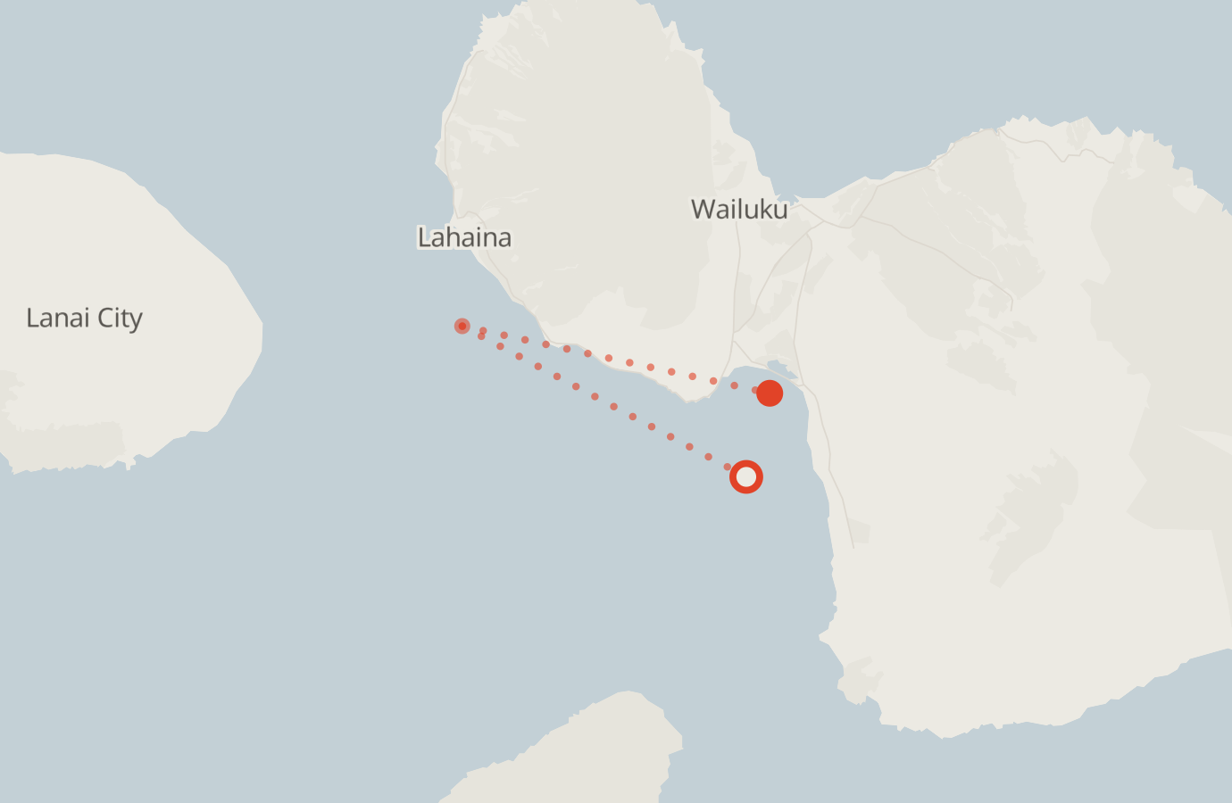 Activity map — real sighting points on an OpenStreetMap basemap