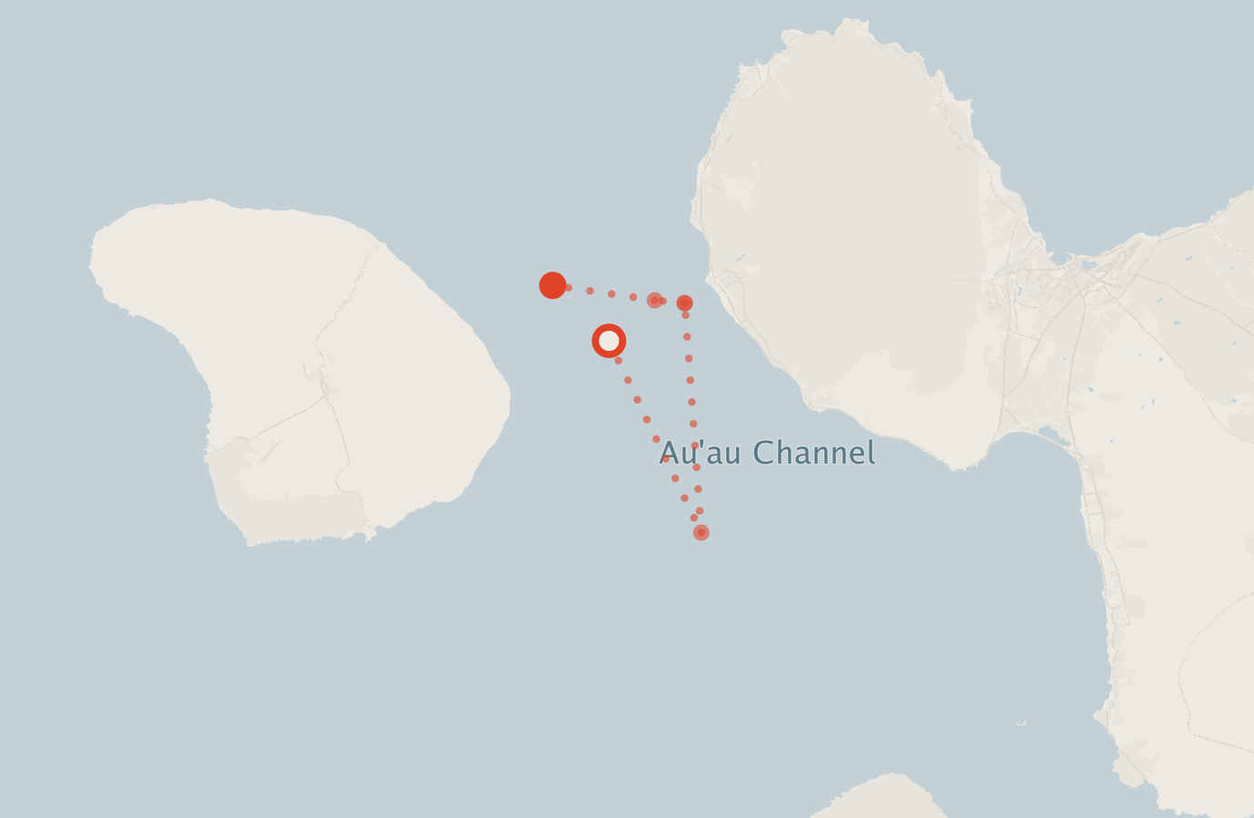Activity map — real sighting points on an OpenStreetMap basemap