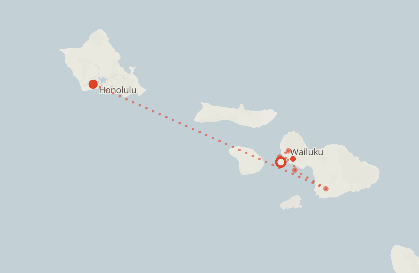Activity map — real sighting points on an OpenStreetMap basemap