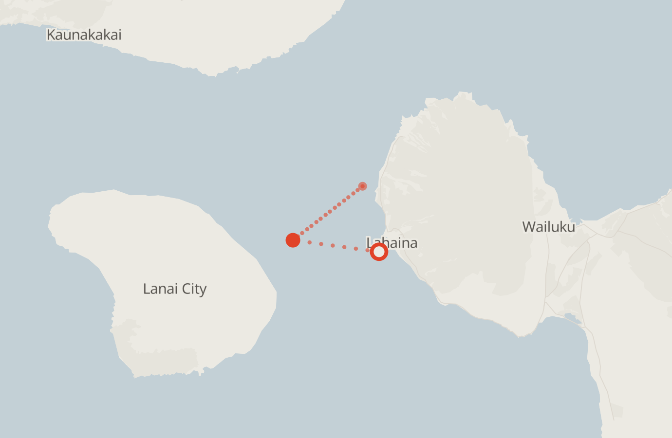 Activity map — real sighting points on an OpenStreetMap basemap