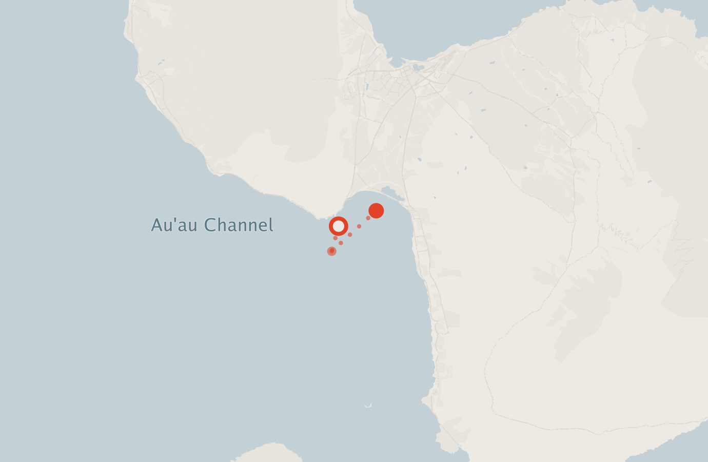 Activity map — real sighting points on an OpenStreetMap basemap