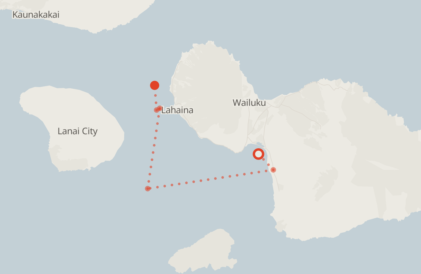 Activity map — real sighting points on an OpenStreetMap basemap