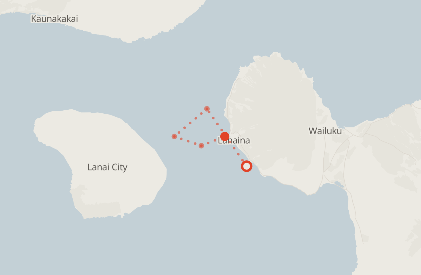 Activity map — real sighting points on an OpenStreetMap basemap