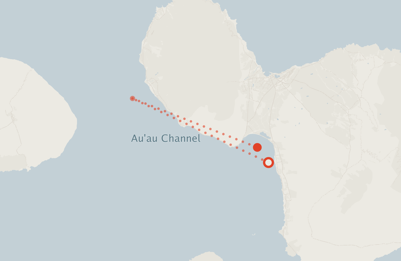 Activity map — real sighting points on an OpenStreetMap basemap