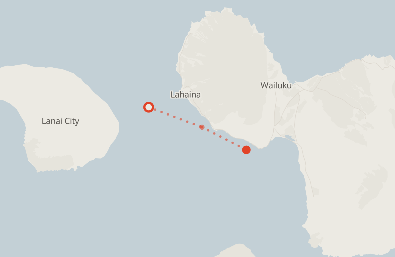 Activity map — real sighting points on an OpenStreetMap basemap