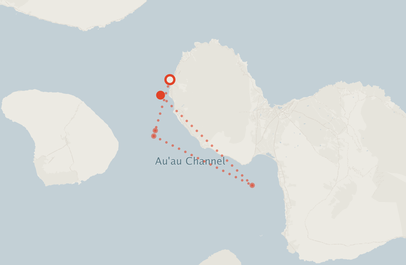 Activity map — real sighting points on an OpenStreetMap basemap