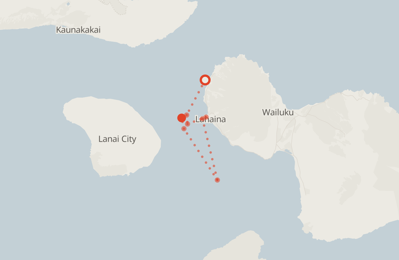 Activity map — real sighting points on an OpenStreetMap basemap