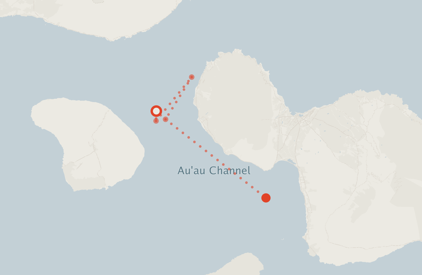 Activity map — real sighting points on an OpenStreetMap basemap
